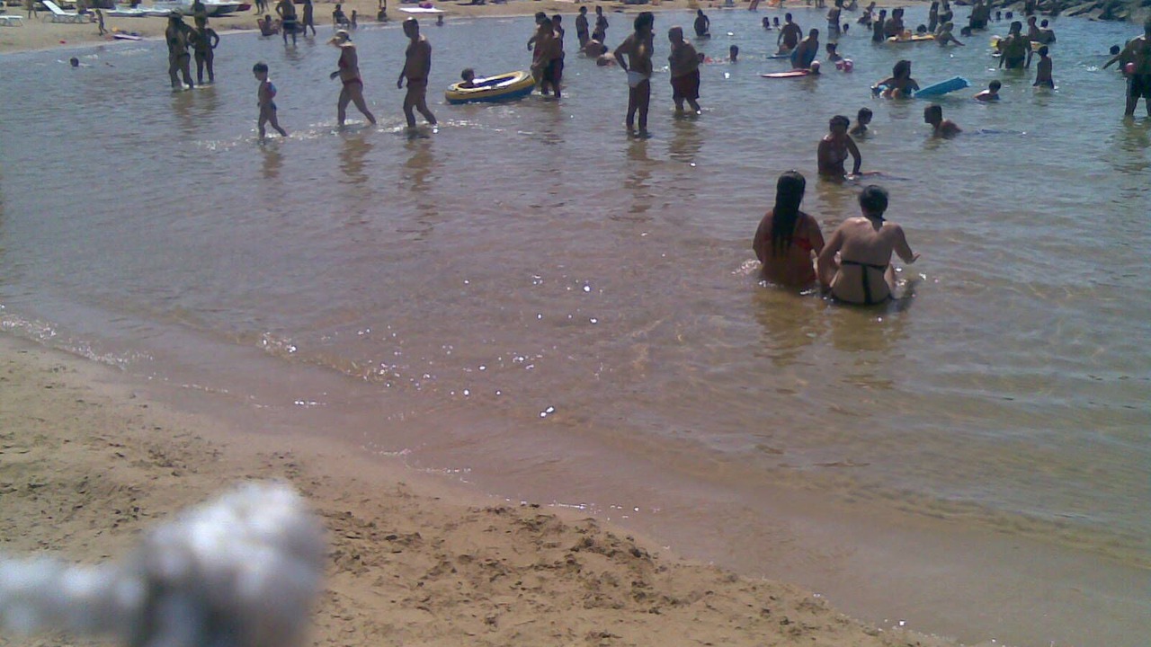 Photo of Others in Vittoria