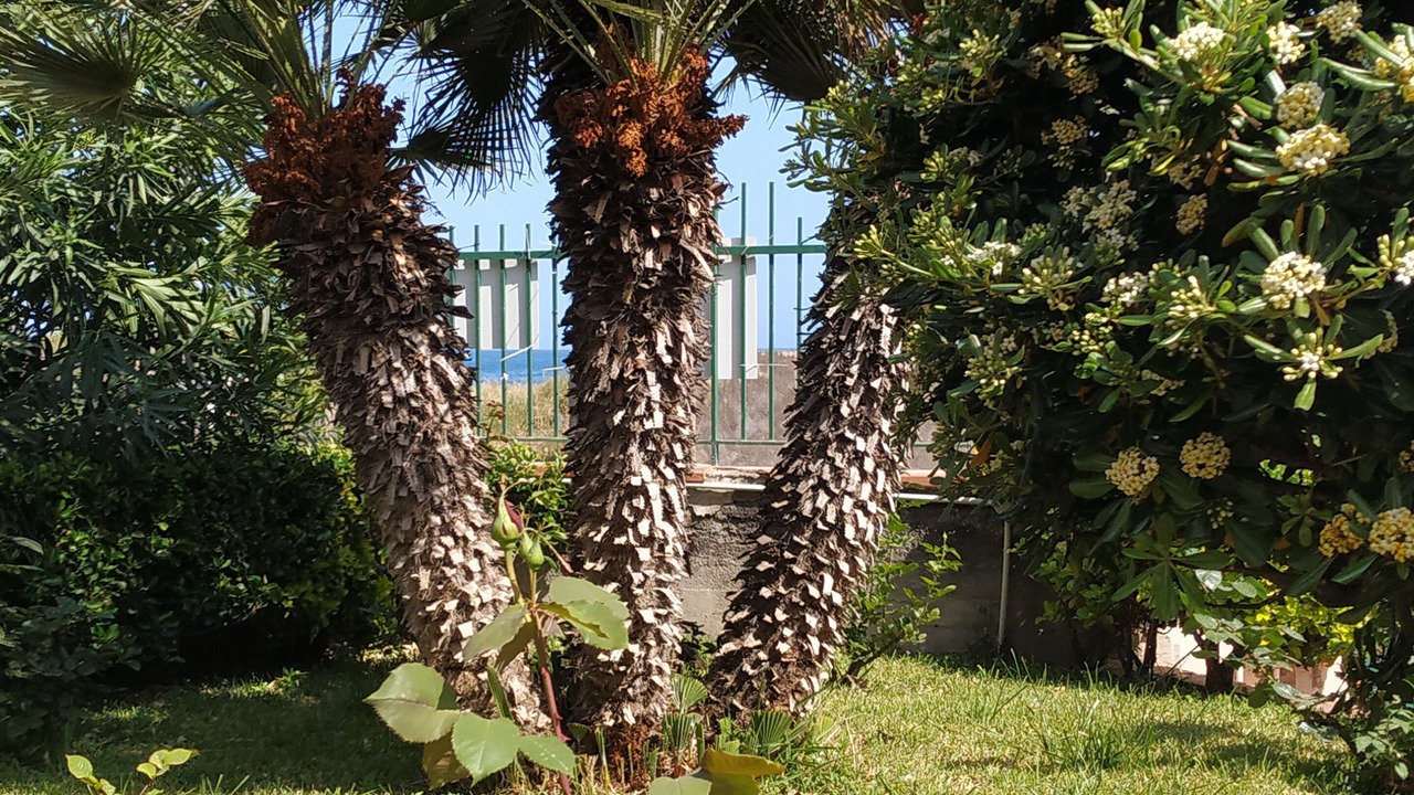 Photo of Outdoor in Fondachello
