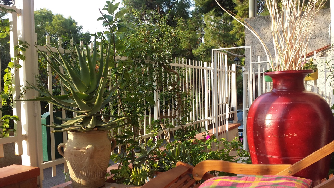 Photo of Outdoor in Addaura