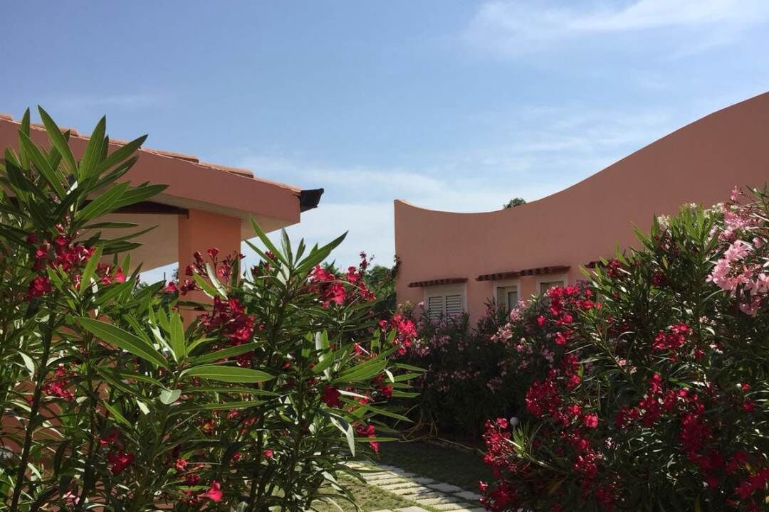 Photo of Outdoor in Diamante