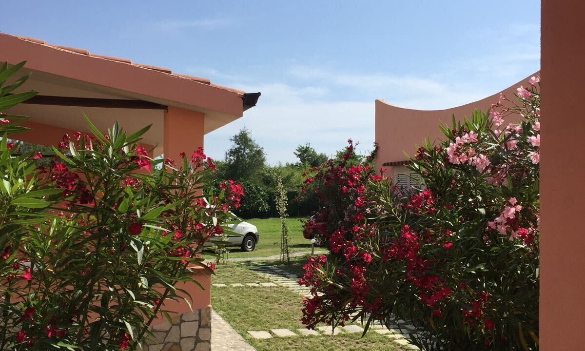 Photo of Outdoor in Diamante