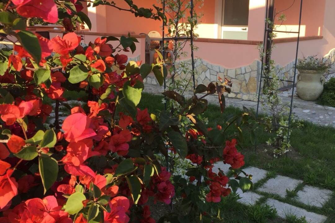 Photo of Outdoor in Diamante