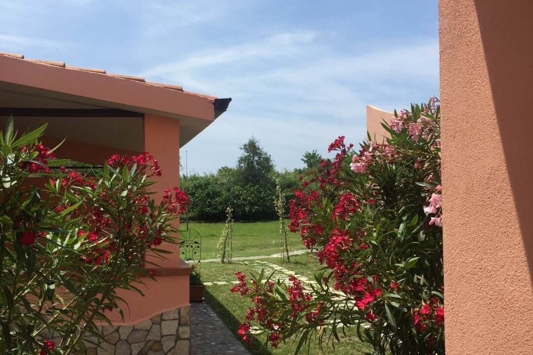 Photo of Outdoor in Diamante