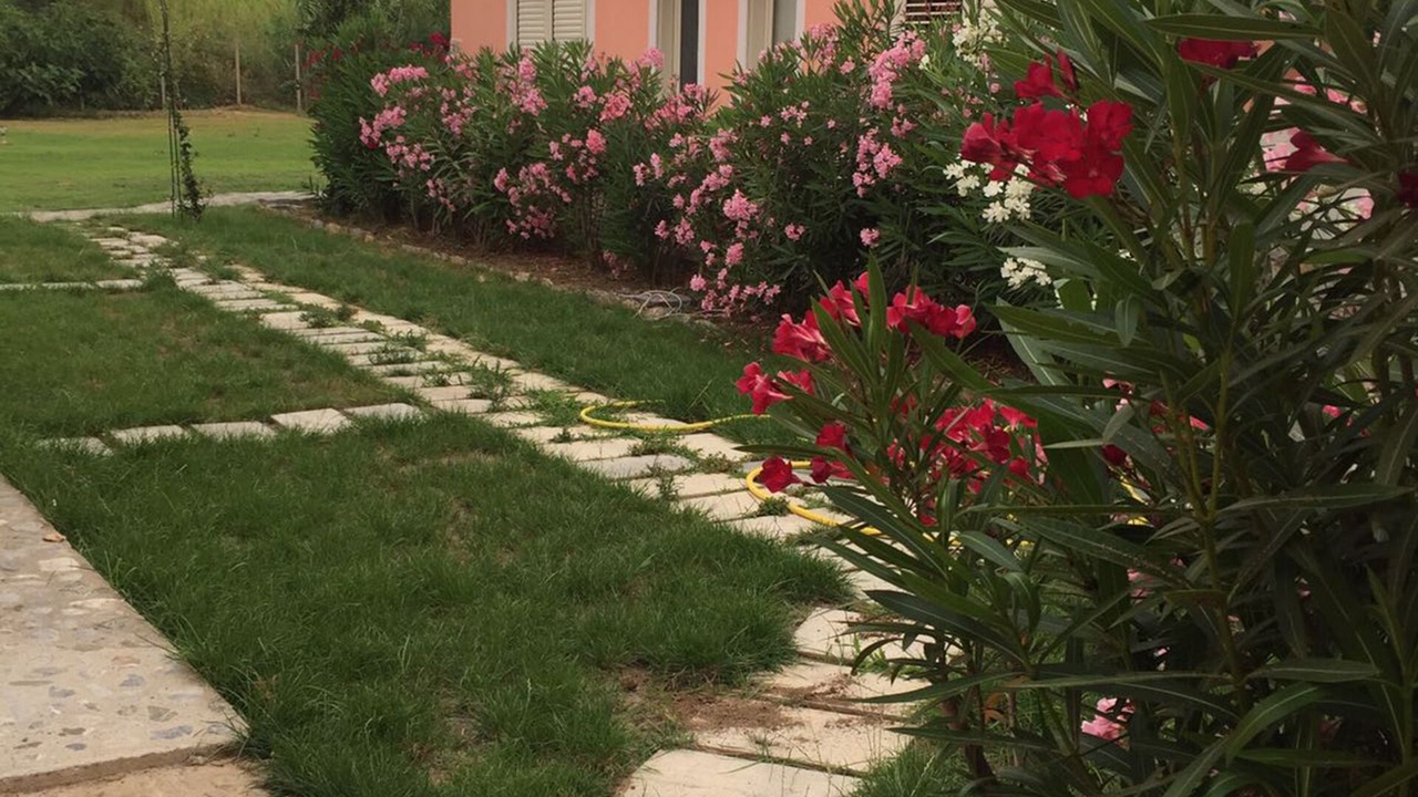 Photo of Outdoor in Diamante