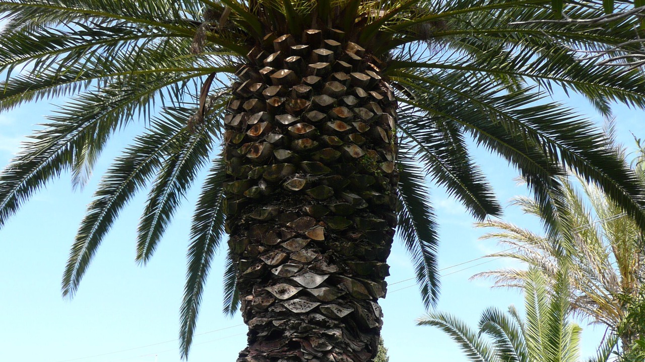 Photo of Outdoor in Marina di Modica