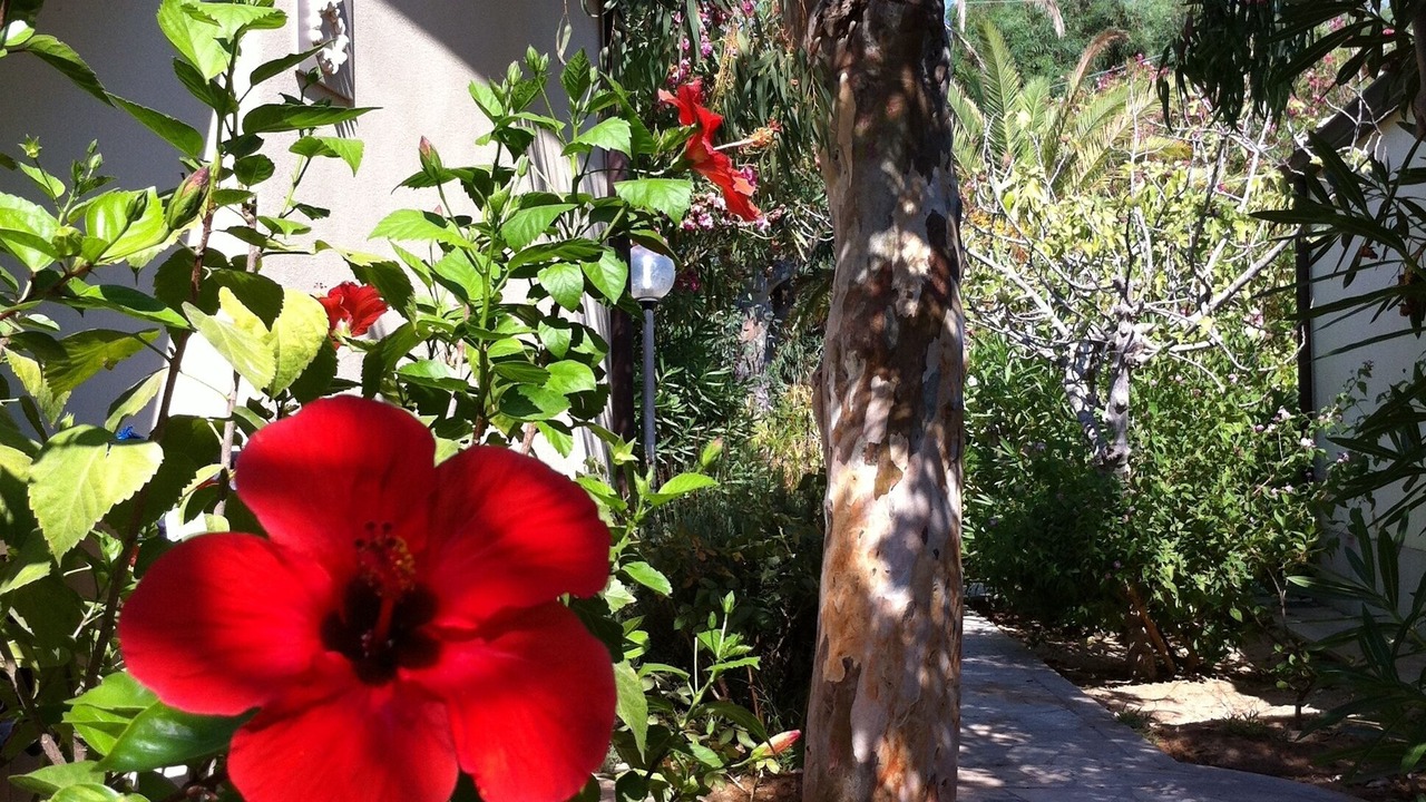 Photo of Outdoor in Marina di Modica