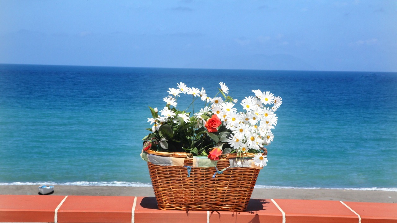 Photo of Outdoor in Marchesana