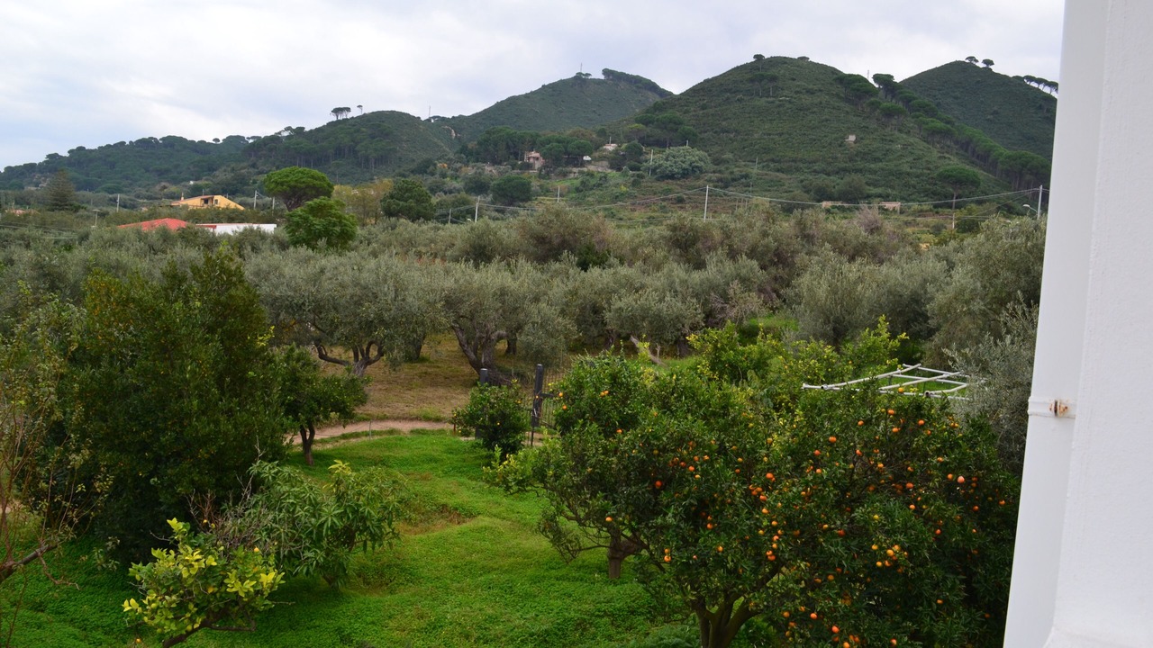 Photo of Others in Province of Messina