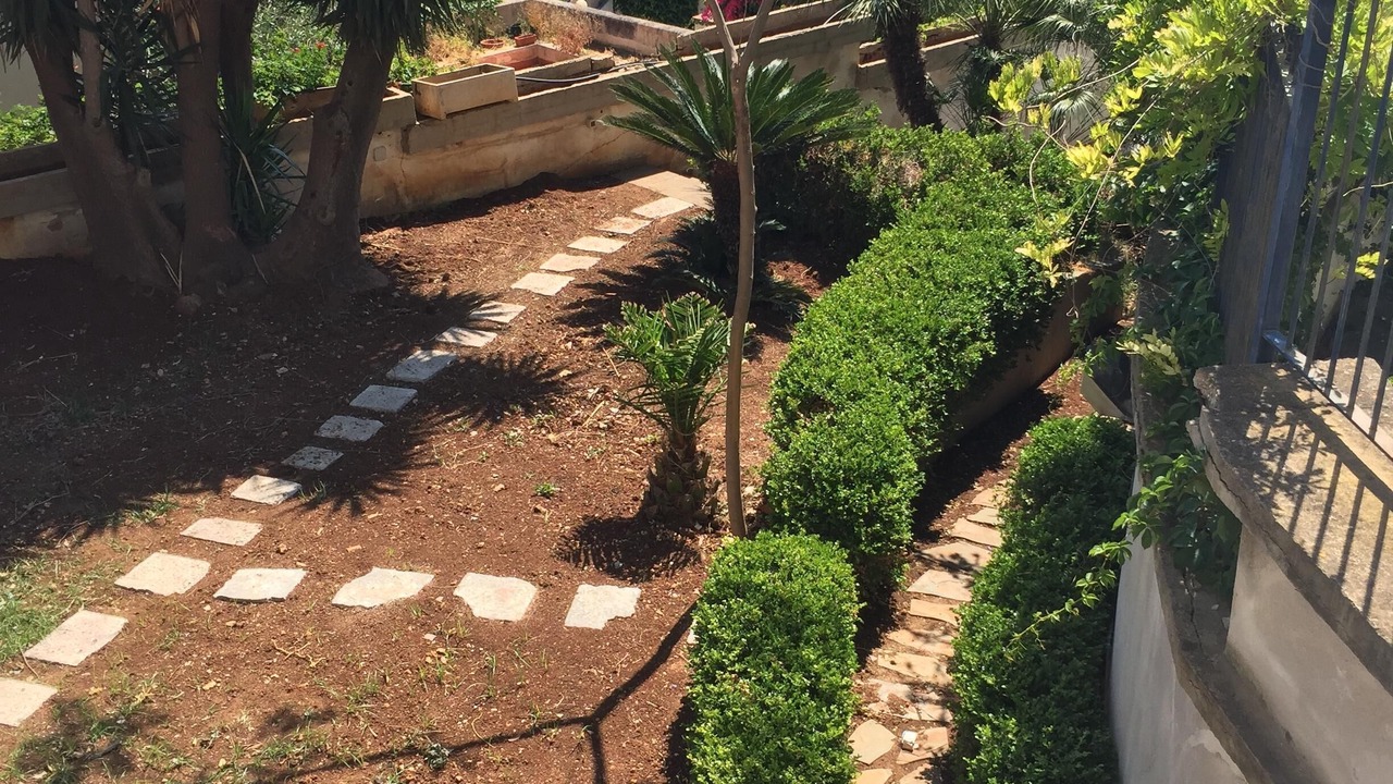 Photo of Outdoor in Palermo