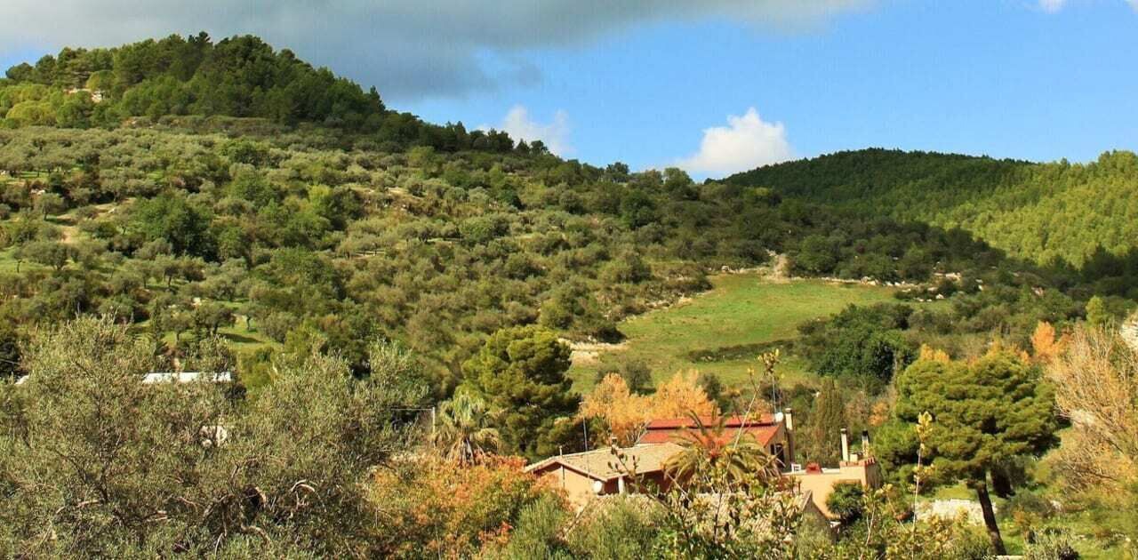 Photo of Others in Monterosso Almo