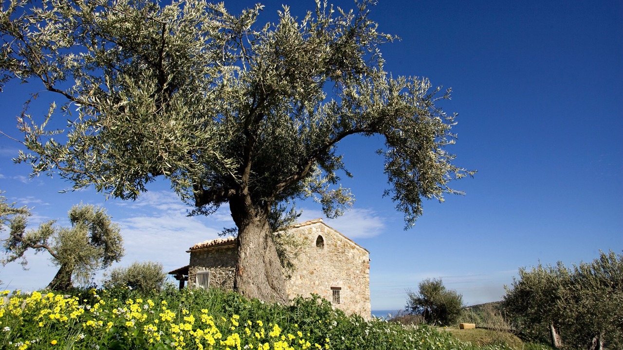 Photo of Outdoor in Collesano