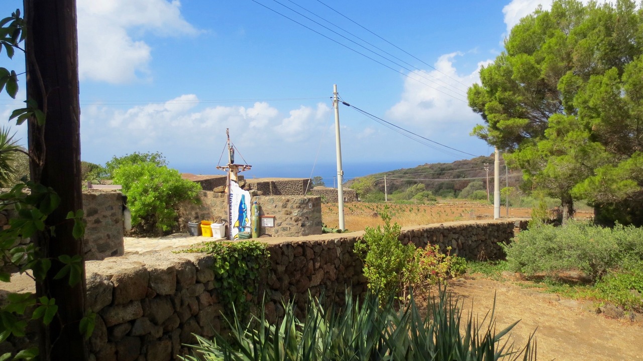 Photo of Others in Pantelleria