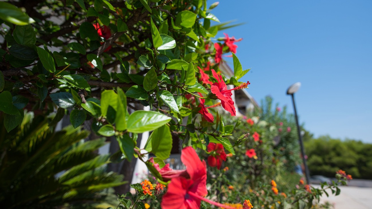 Photo of Outdoor in Sciacca