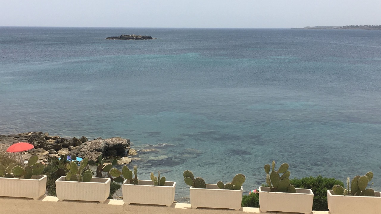 Photo of Others in Punta Milocca
