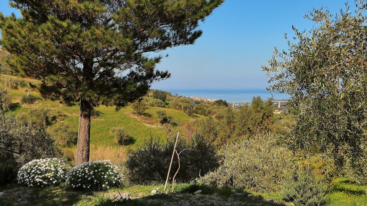 Photo of Outdoor in Collesano