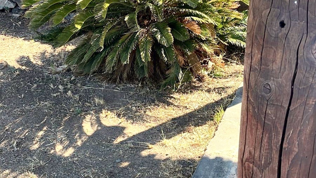 Photo of Outdoor in Tracino