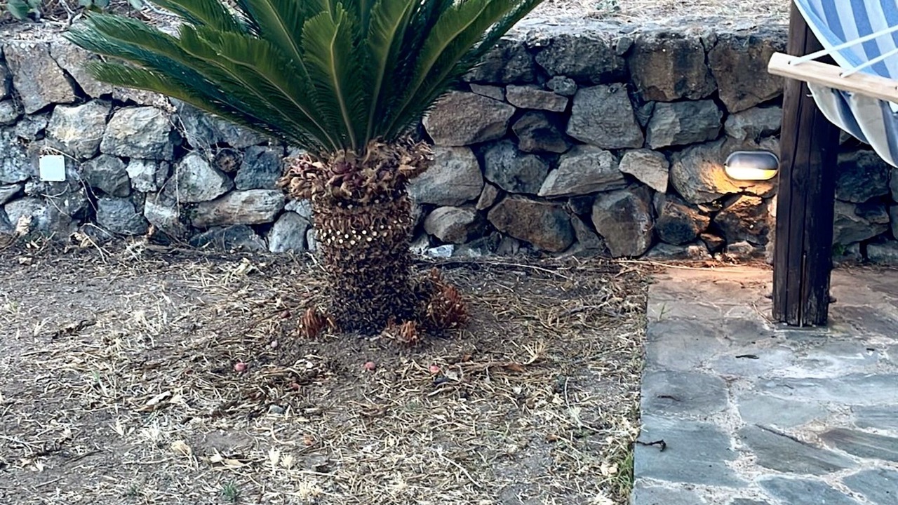 Photo of Outdoor in Tracino