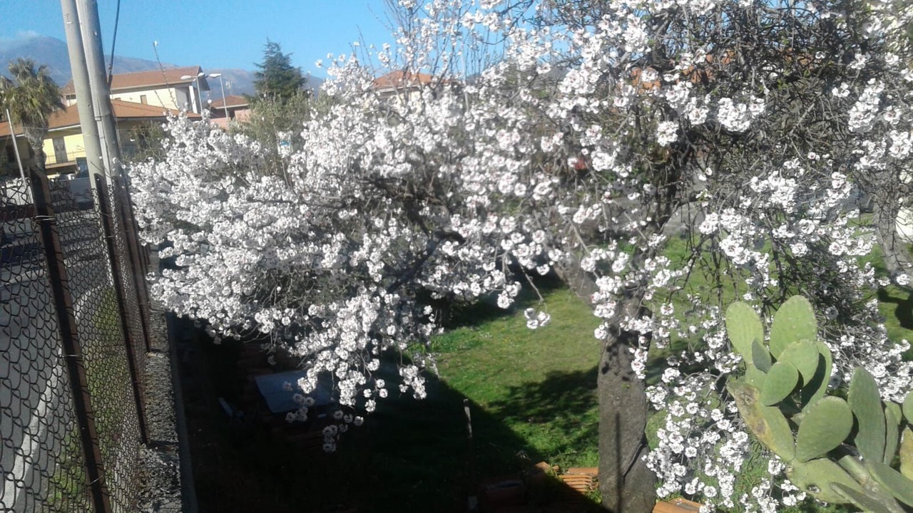 Photo of Outdoor in Nicolosi