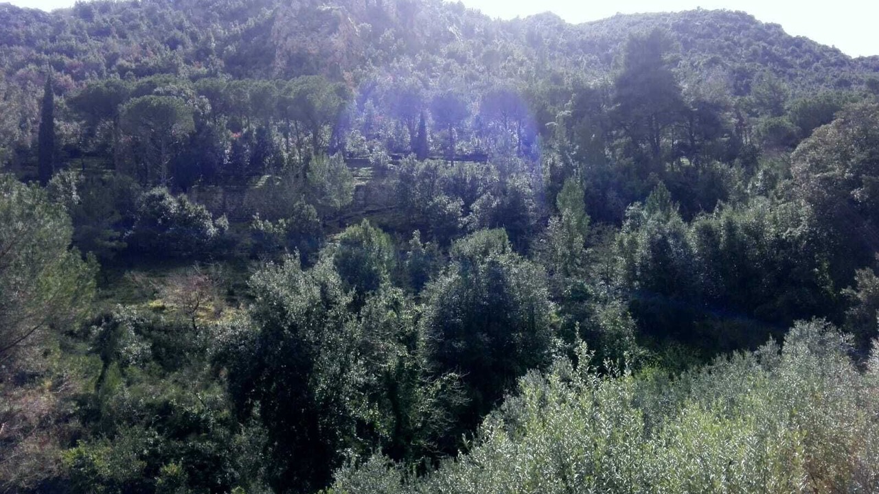Photo of Outdoor in San Martino delle Scale