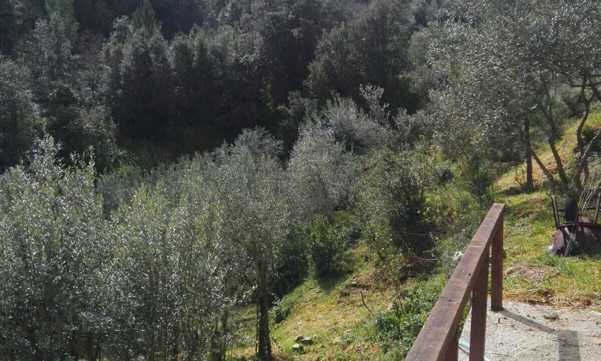 Photo of Others in San Martino delle Scale