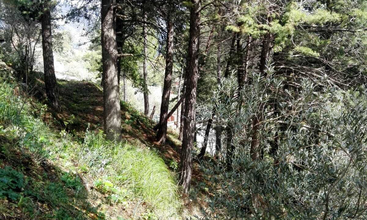 Photo of Outdoor in San Martino delle Scale
