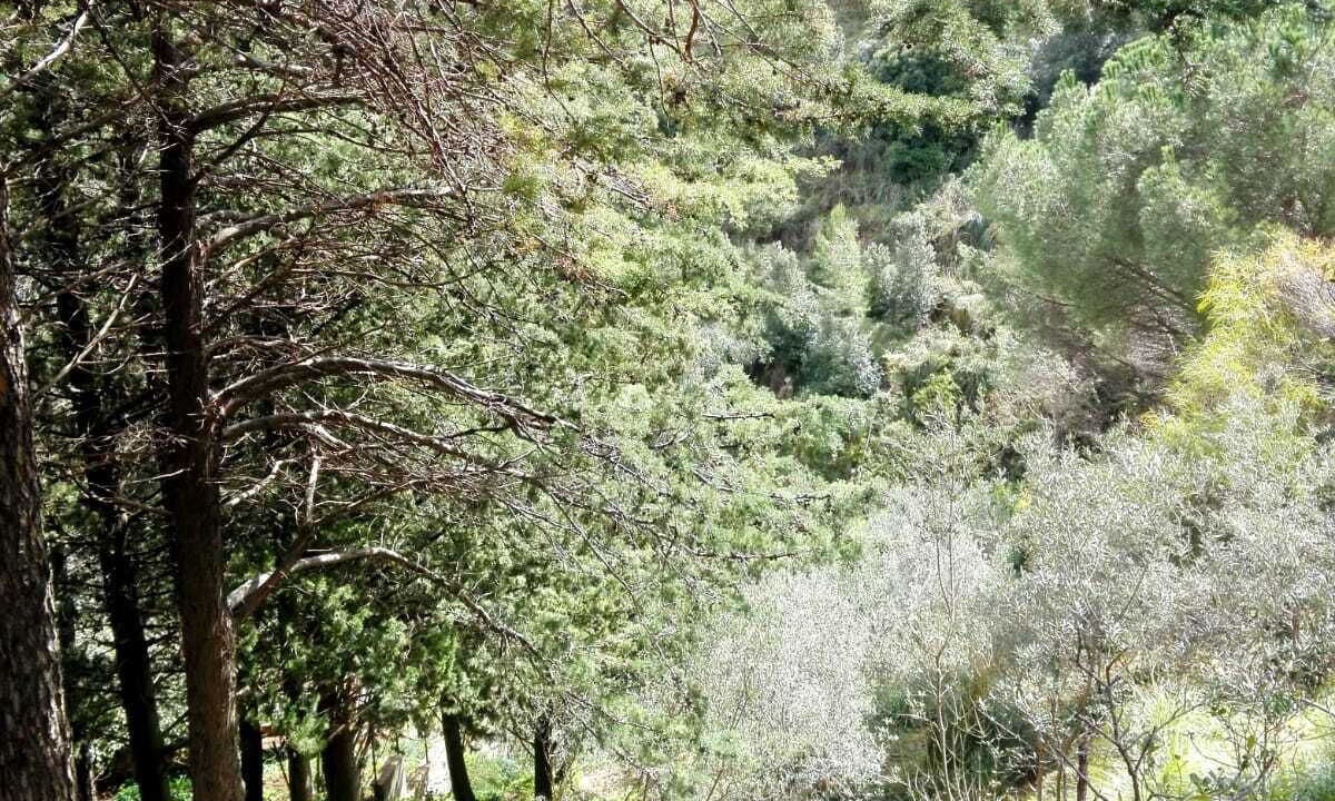 Photo of Outdoor in San Martino delle Scale