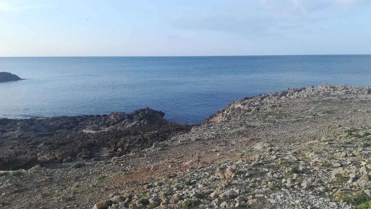 Photo of Others in Favignana