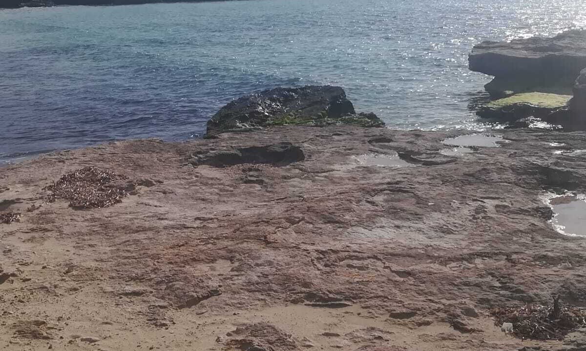 Photo of Others in Favignana