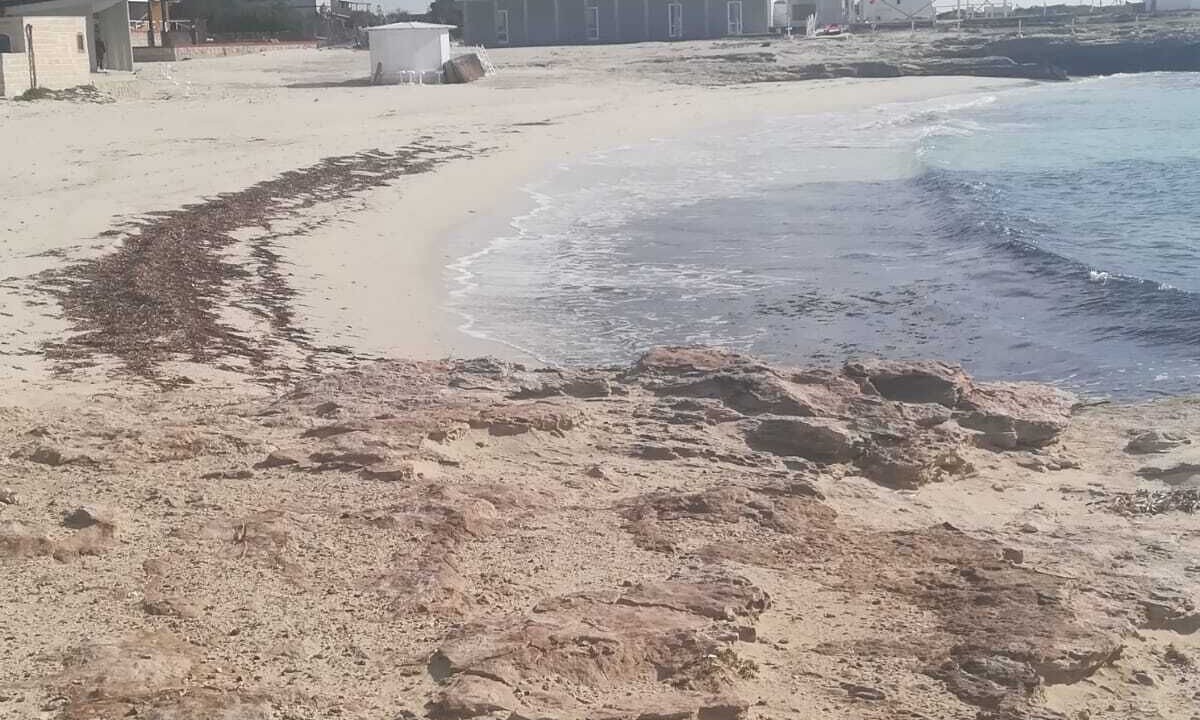 Photo of Others in Favignana