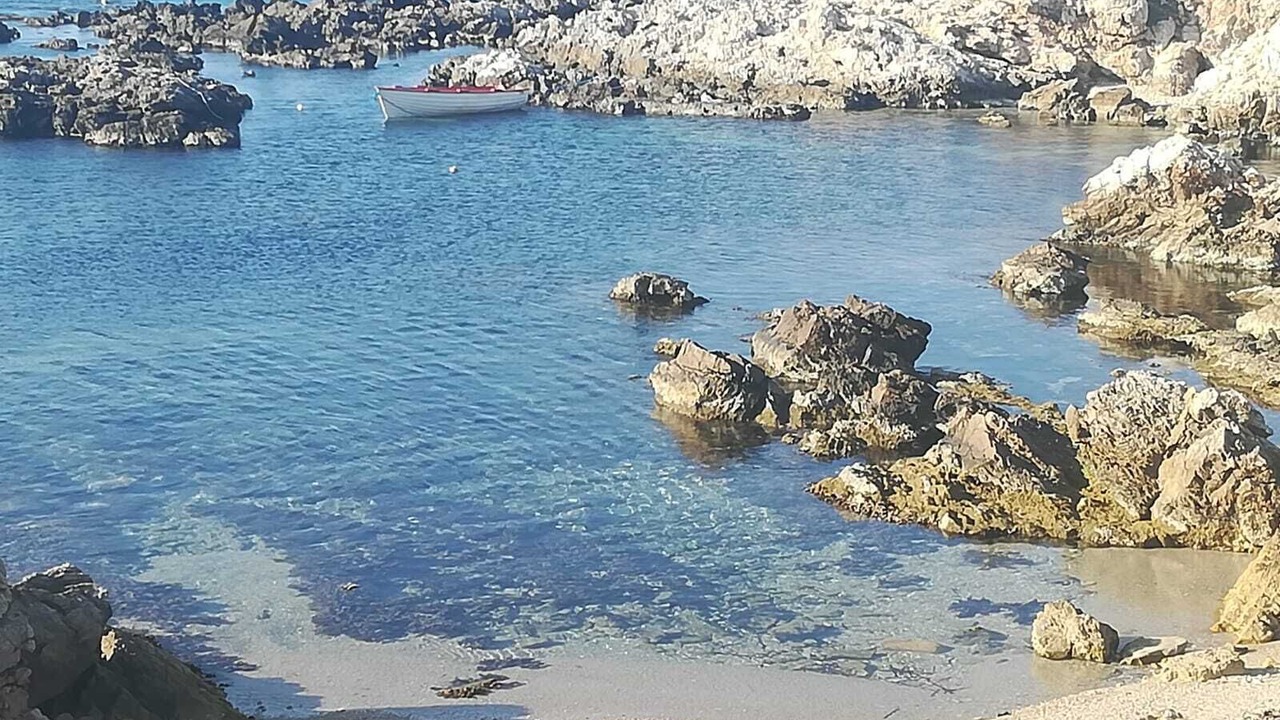 Photo of Others in Favignana