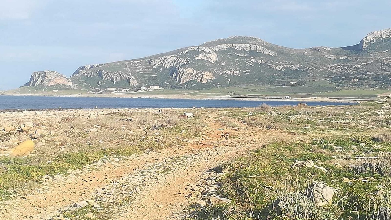 Photo of Others in Favignana