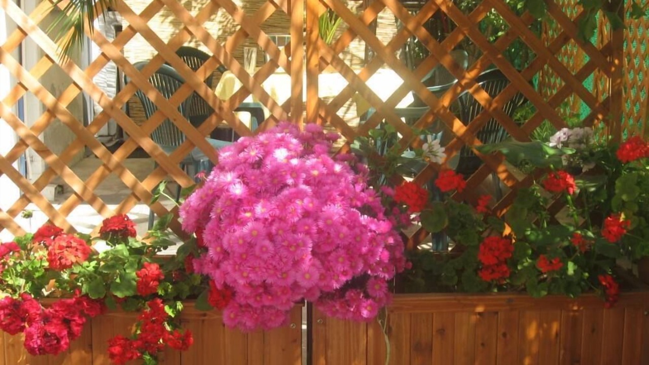 Photo of Patio Balcony in Santa Venerina