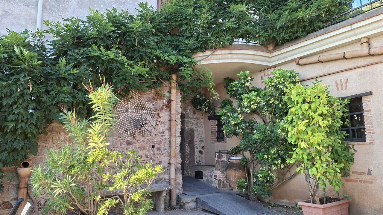 Photo of Outdoor in Gioiosa Marea
