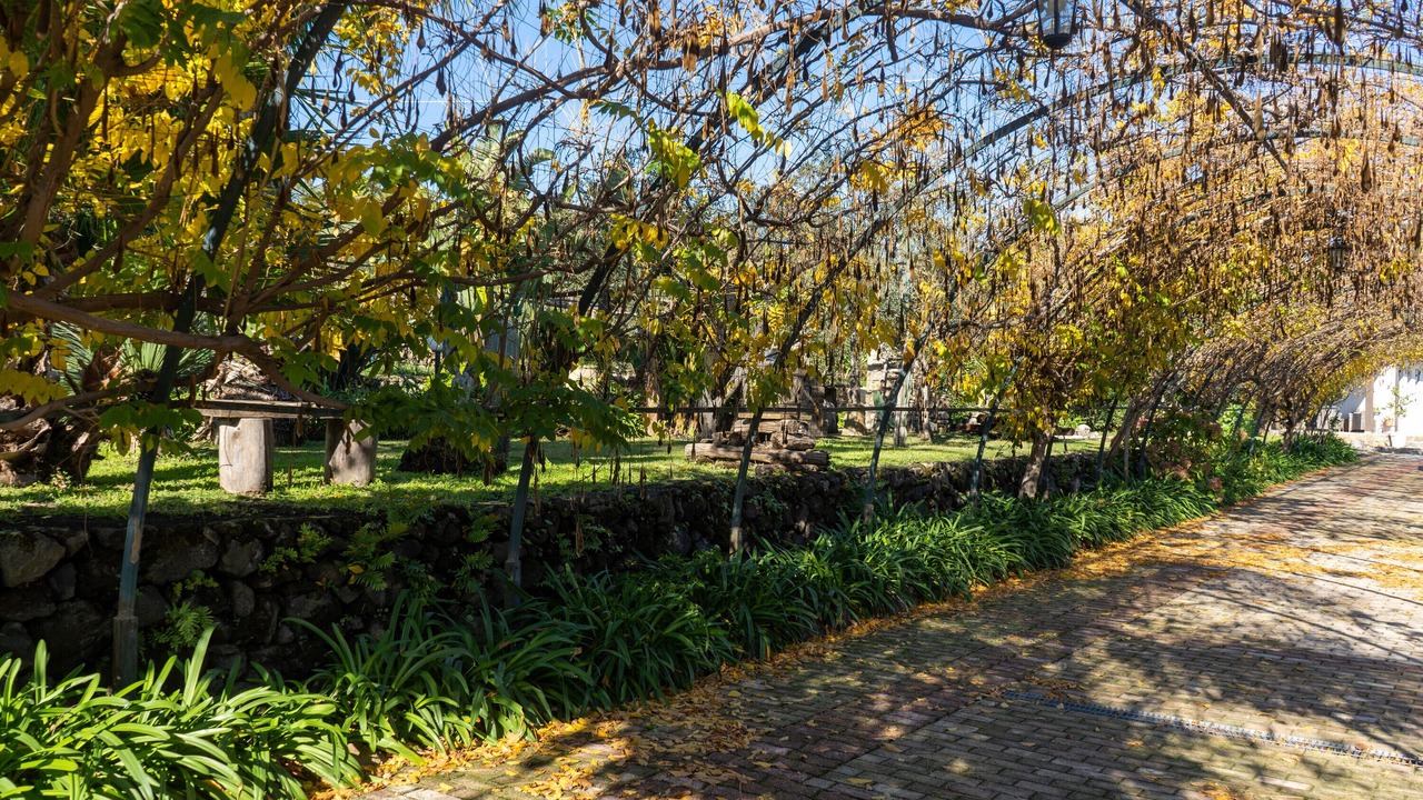 Photo of Outdoor in Piedimonte Etneo