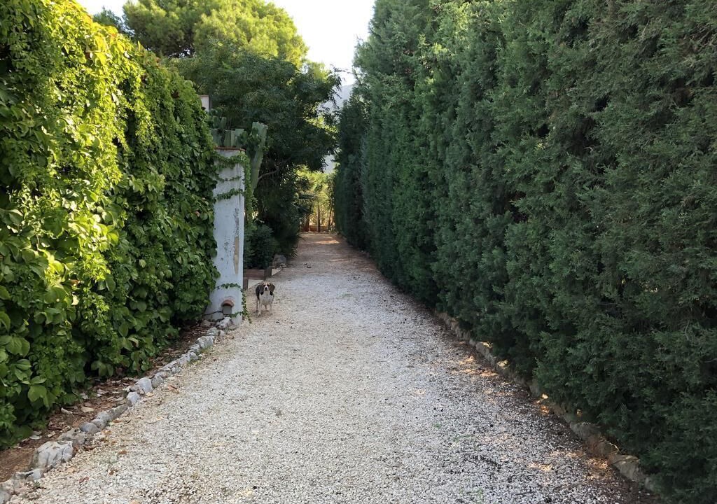 Photo of Outdoor in San Vito Lo Capo