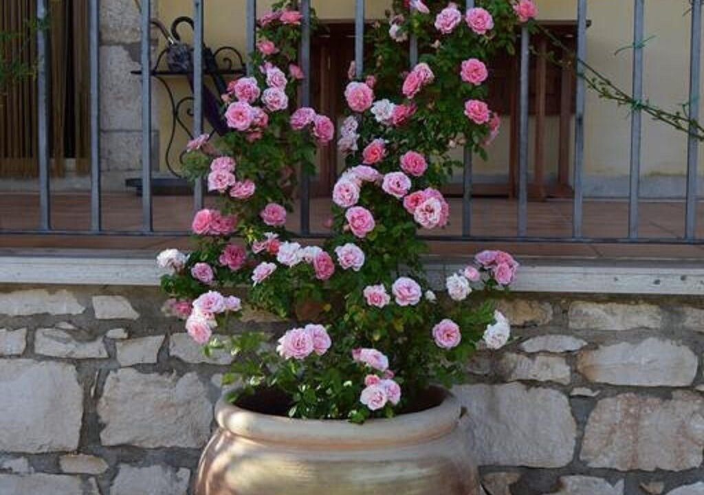 Photo of Outdoor in Modica