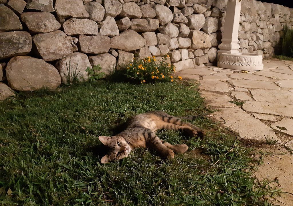 Photo of Outdoor in Rosolini