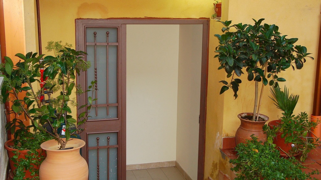 Photo of Outdoor in Mazzeo