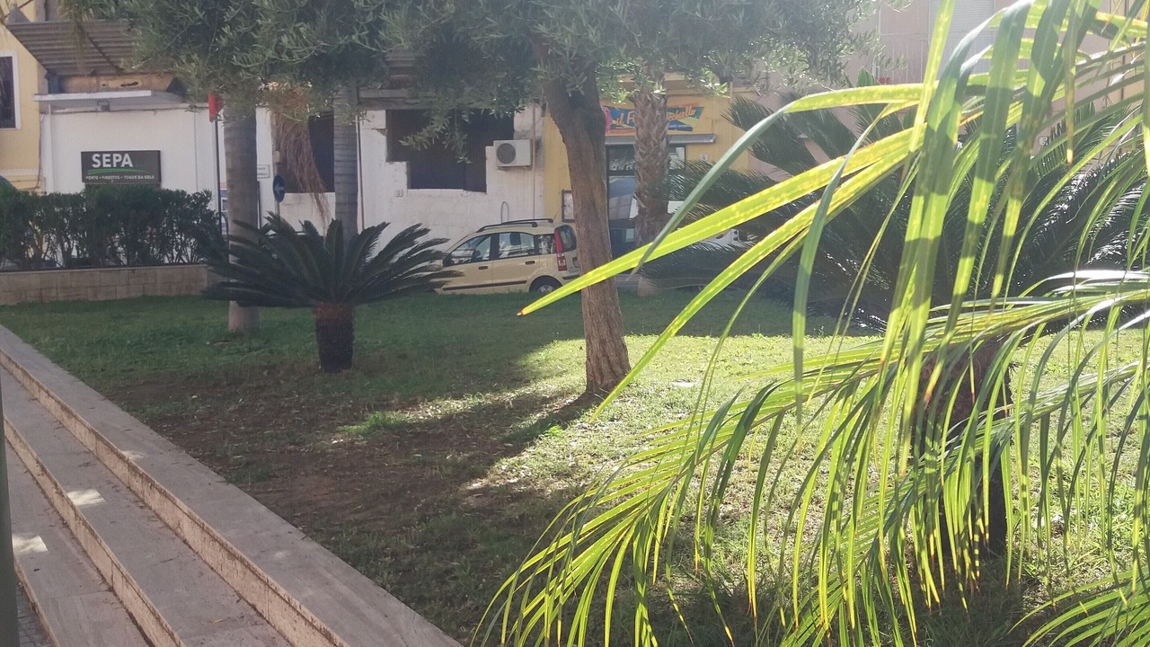 Photo of Outdoor in Campofelice di Roccella