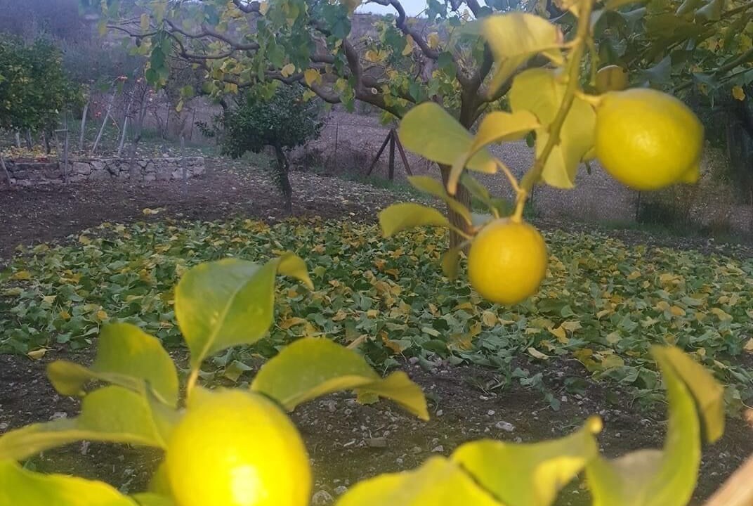 Photo of Outdoor in Racalmuto
