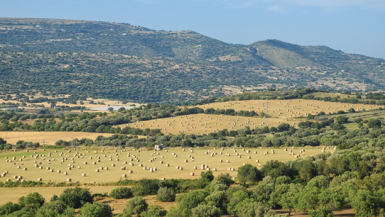 Photo of Others in Chiaramonte Gulfi