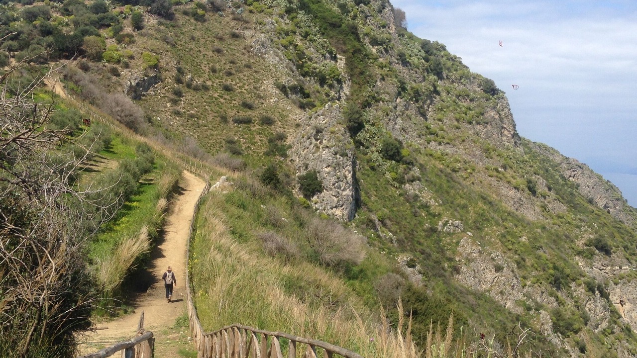 Photo of Others in Gioiosa Marea