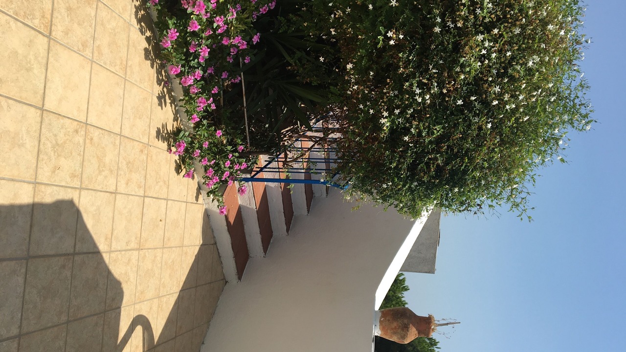 Photo of Outdoor in Santa Marina Salina