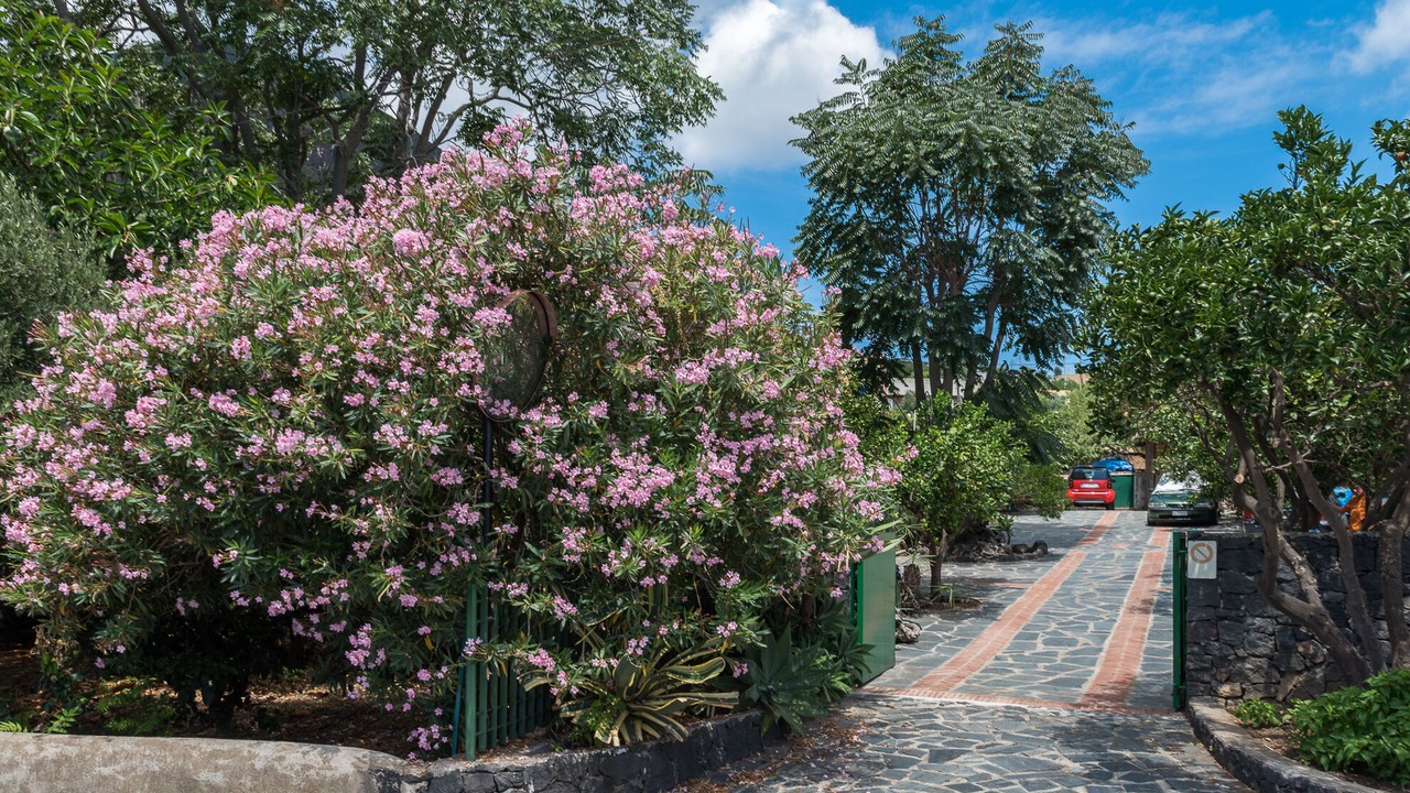 Photo of Outdoor in Leni