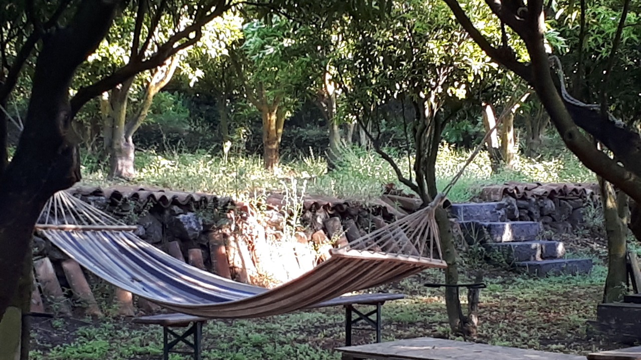 Photo of Outdoor in Archi