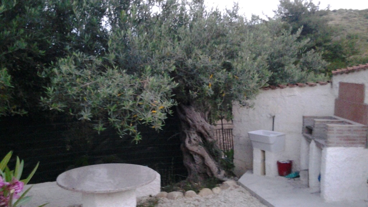Photo of Patio Balcony in Sciacca