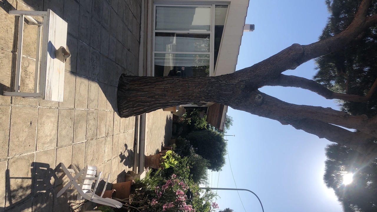 Photo of Patio Balcony in San Vito Lo Capo