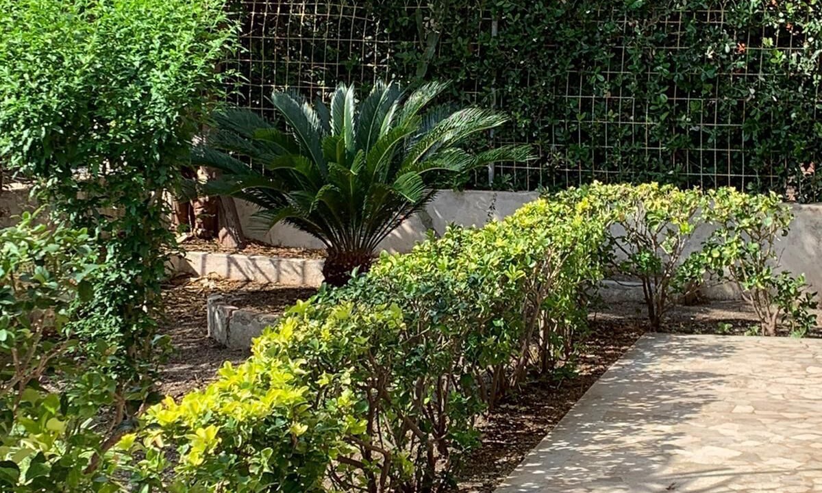 Photo of Outdoor in Mortelle