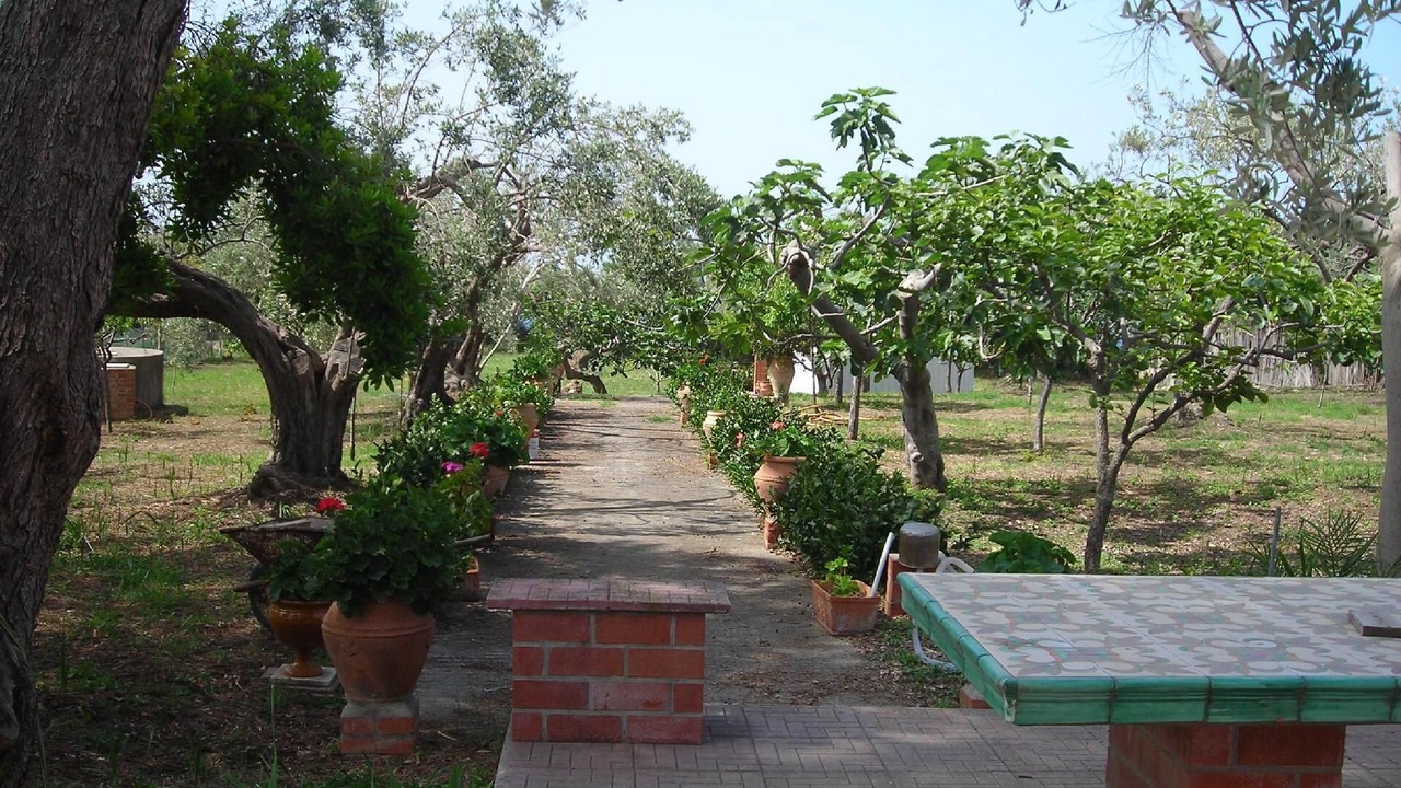 Photo of Outdoor in Acquedolci