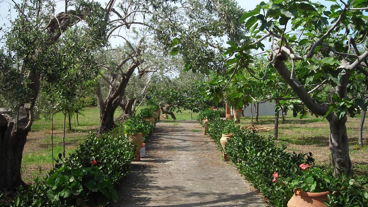 Photo of Outdoor in Acquedolci